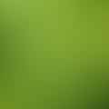 fresh lime