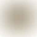 Black Pepper
