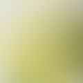 fresh lemon juice