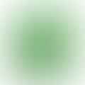 lime juice