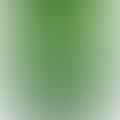 lime juice