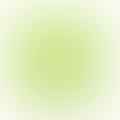 sliced lime