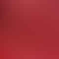 pomegranate seeds