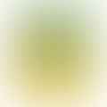 lemon juice
