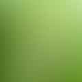 fresh lime juice