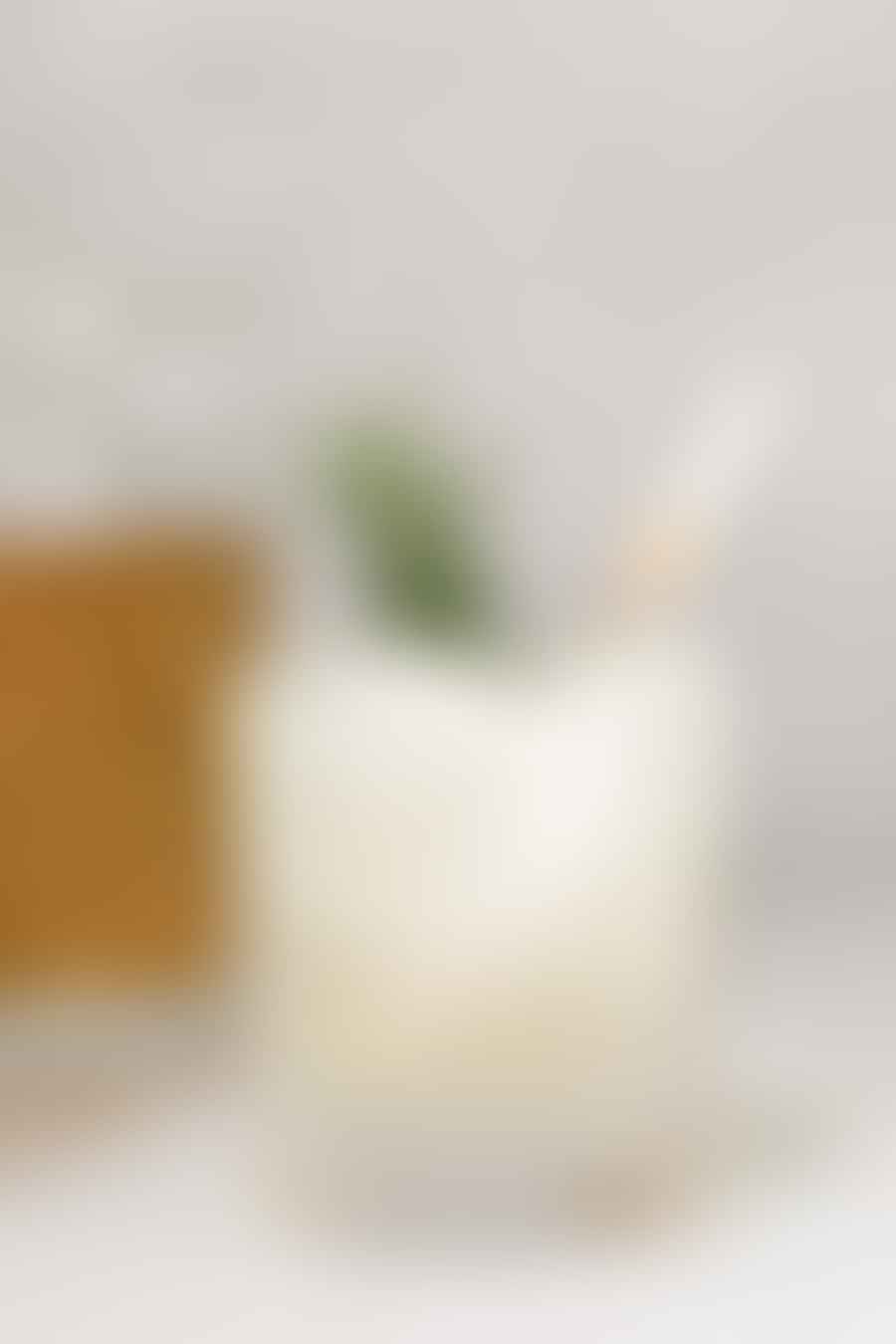 best mocktail recipes and ingredients for homemade alcohol-free drinks